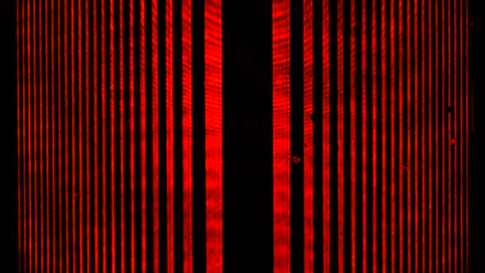 The famous double-slit experiment, which showed that light can behave like a wave and a particle. 