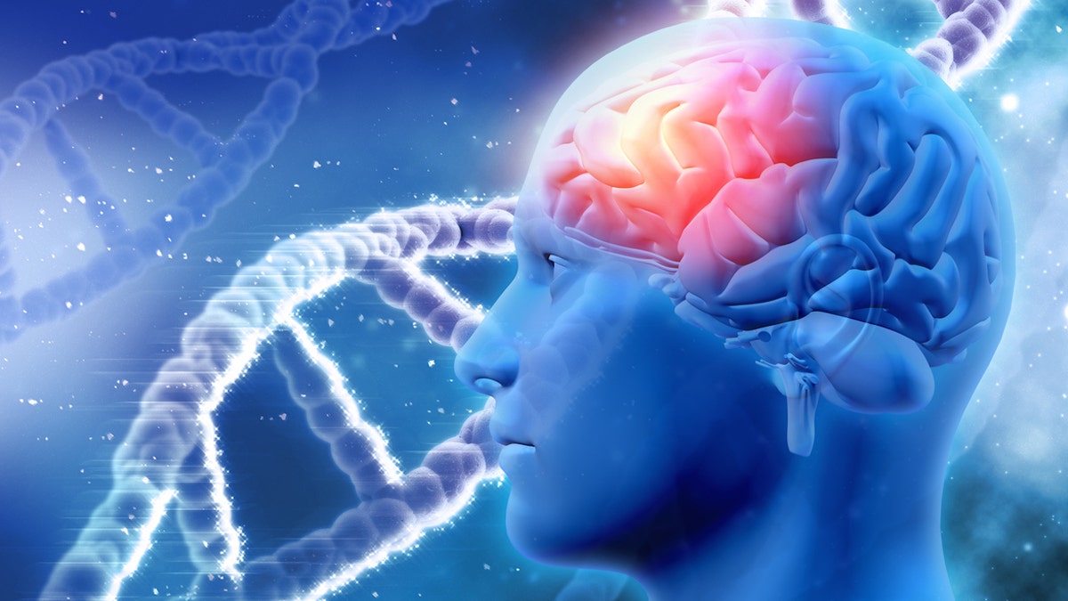 Brain DNA genes