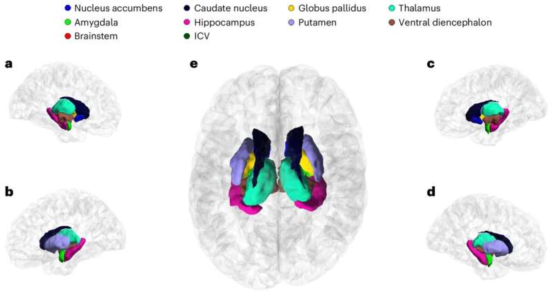 Large brain volume study finds genetic links to Parkinson's disease and ADHD