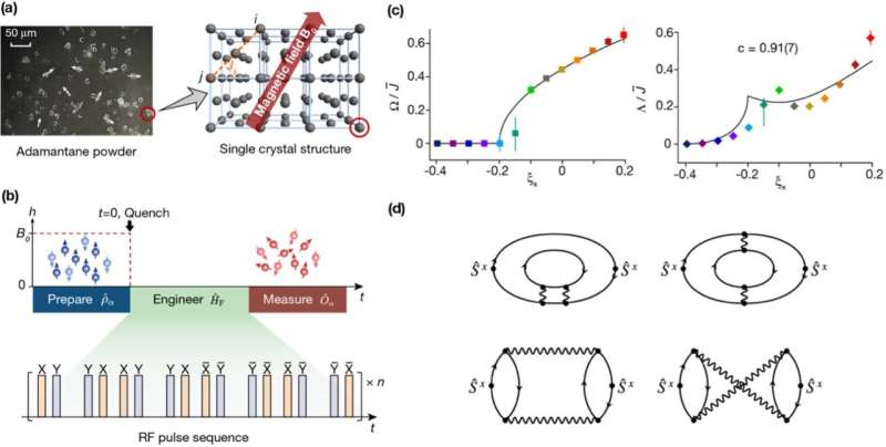 Physicists discover non-equilibrium quantum dynamics in randomly interacting species.